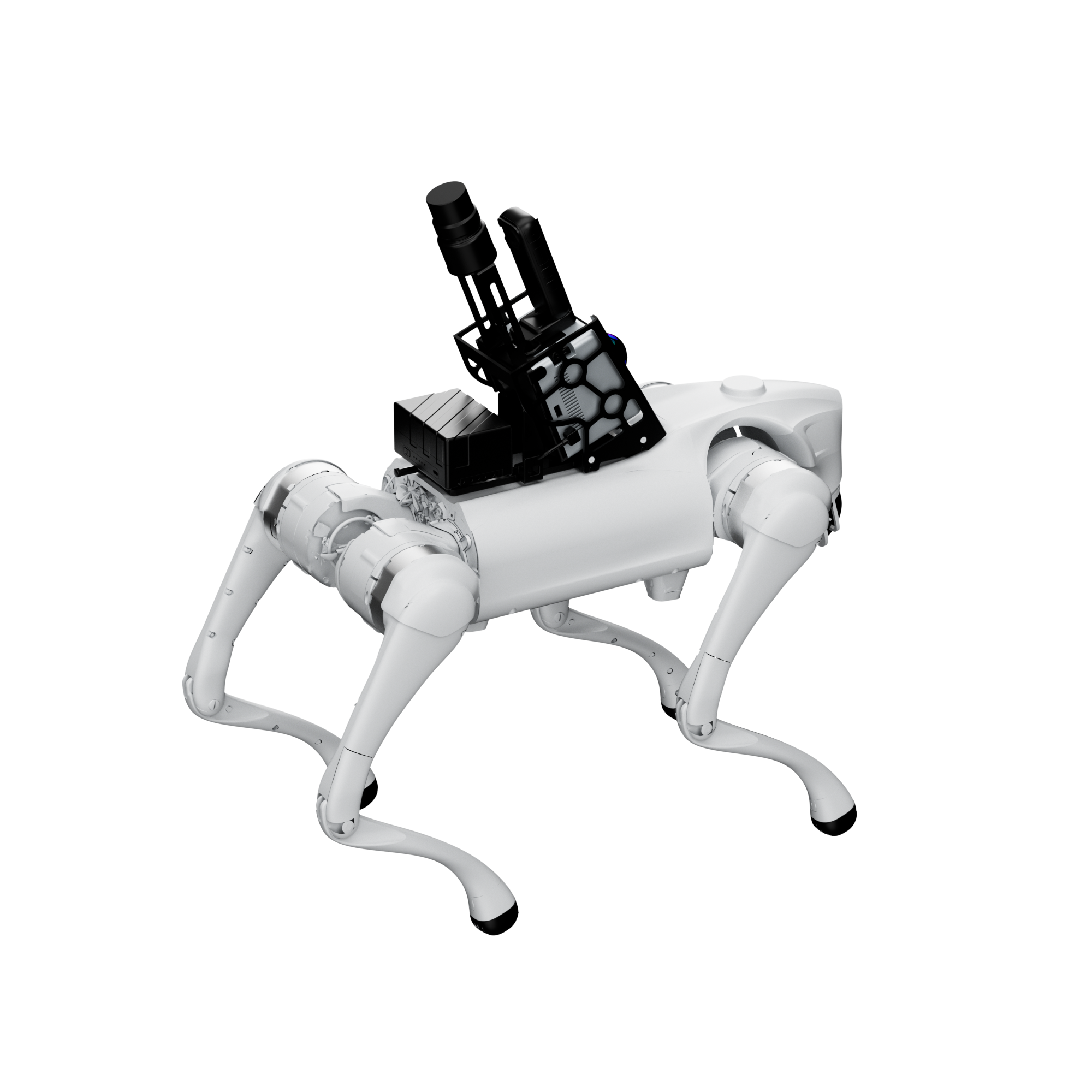 About P1 Robot Dog Main 0004